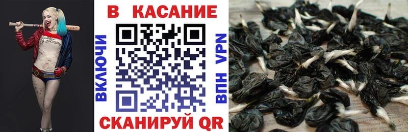 Купить закладку ГАШИШ  СК  Метадон  COCAIN  Мефедрон  Серов