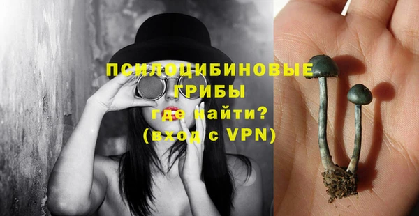Альфа ПВП Баксан